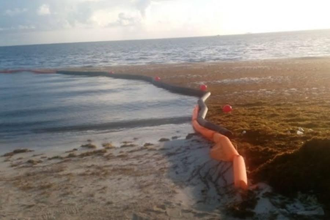 Beach Barriers (Seaweed and trash control)
